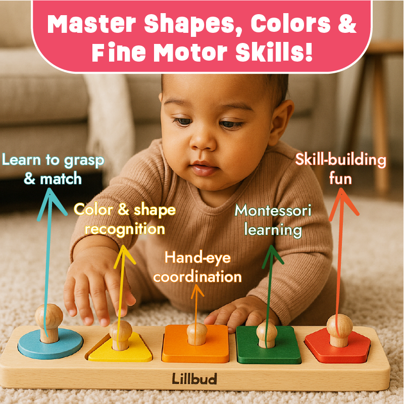 Fit the Shapes Puzzle