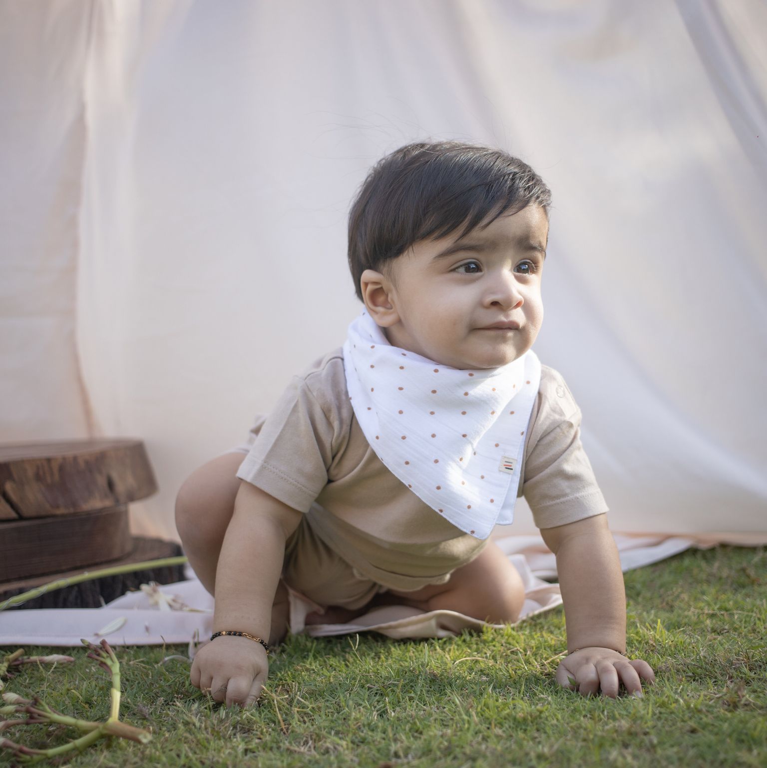 Organic Drool bib  (Spottie Dottie)