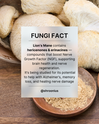 Instant Coffee with Lion's Mane Mushroom extract