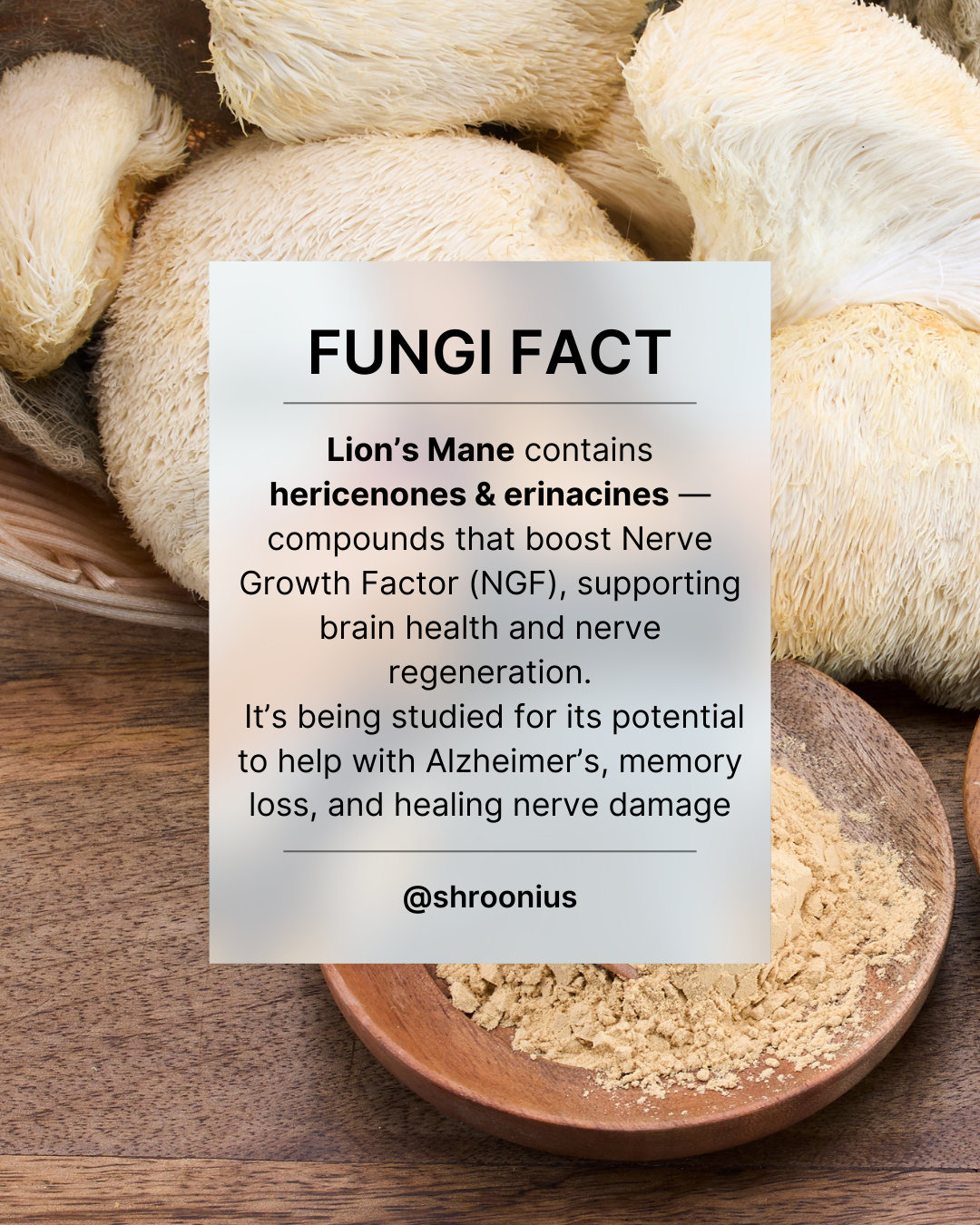 Instant Coffee with Lion's Mane Mushroom extract