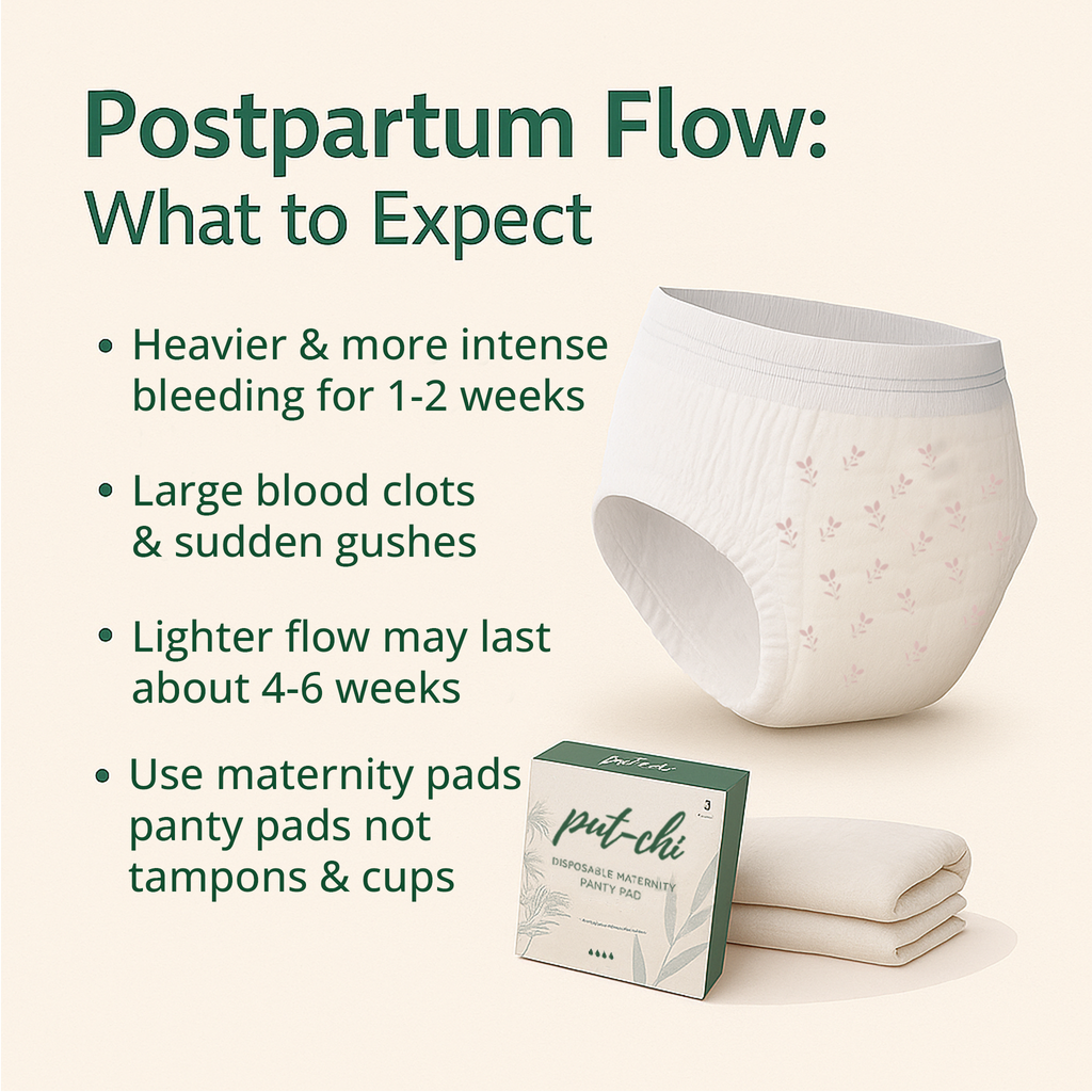 Putchi Disposable Maternity Panty Pad – XXL (Pack of 3)