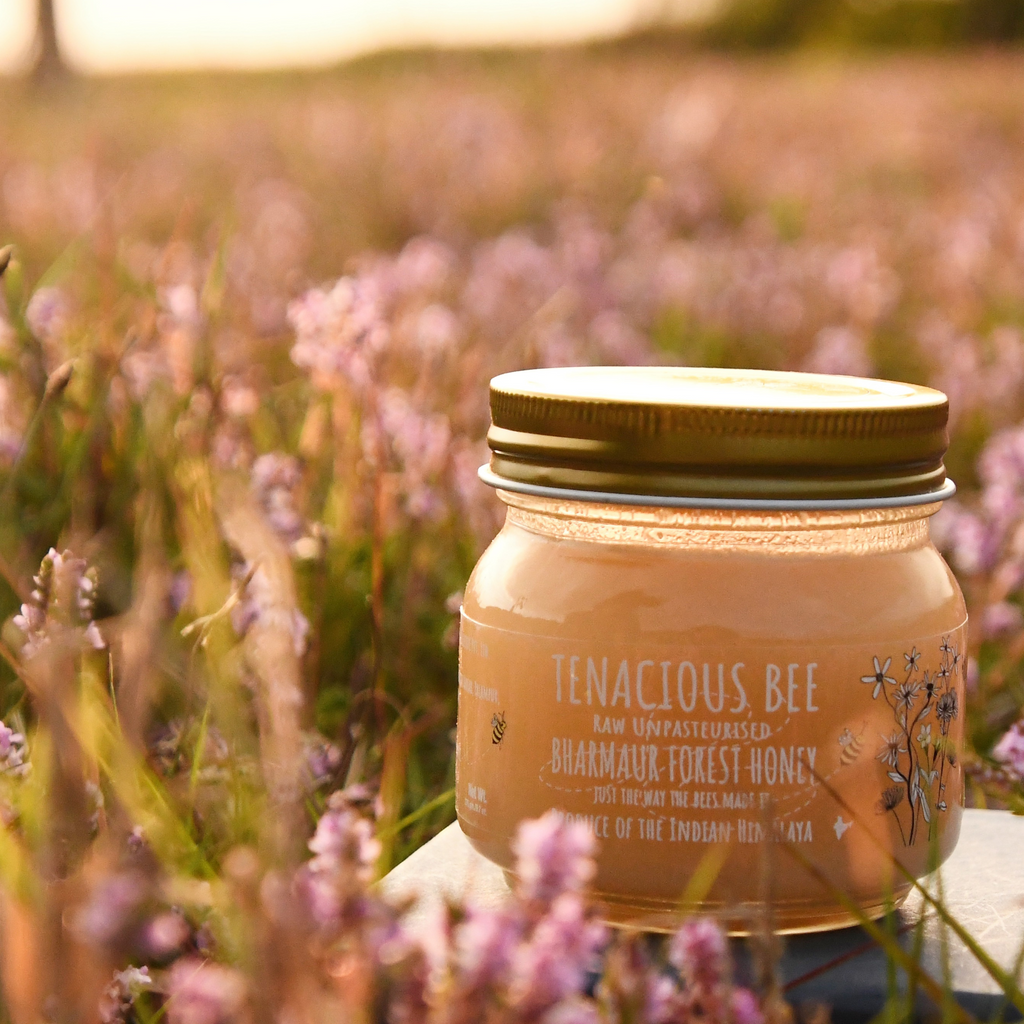 Bharmaur Forest Honey 275 gm