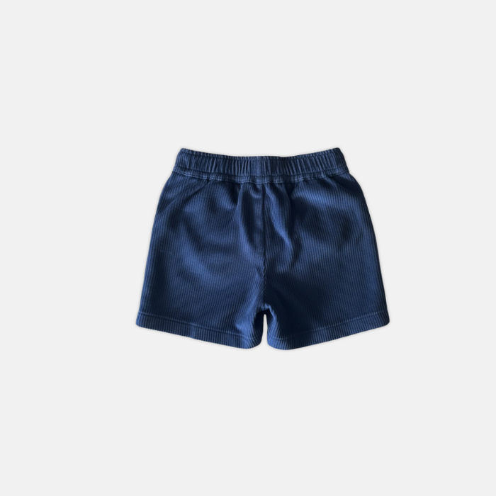 Blue Corduroy Shorts