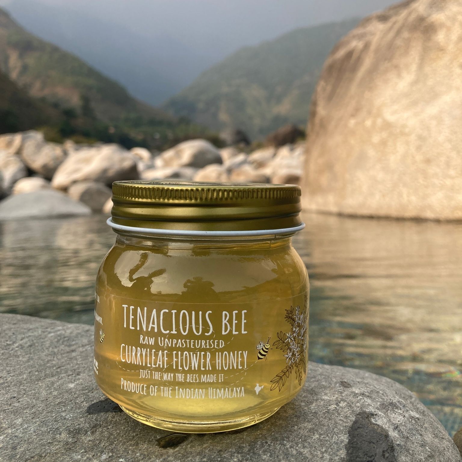 Jar of Tenacious Bee honey on a rock with a mountainous background