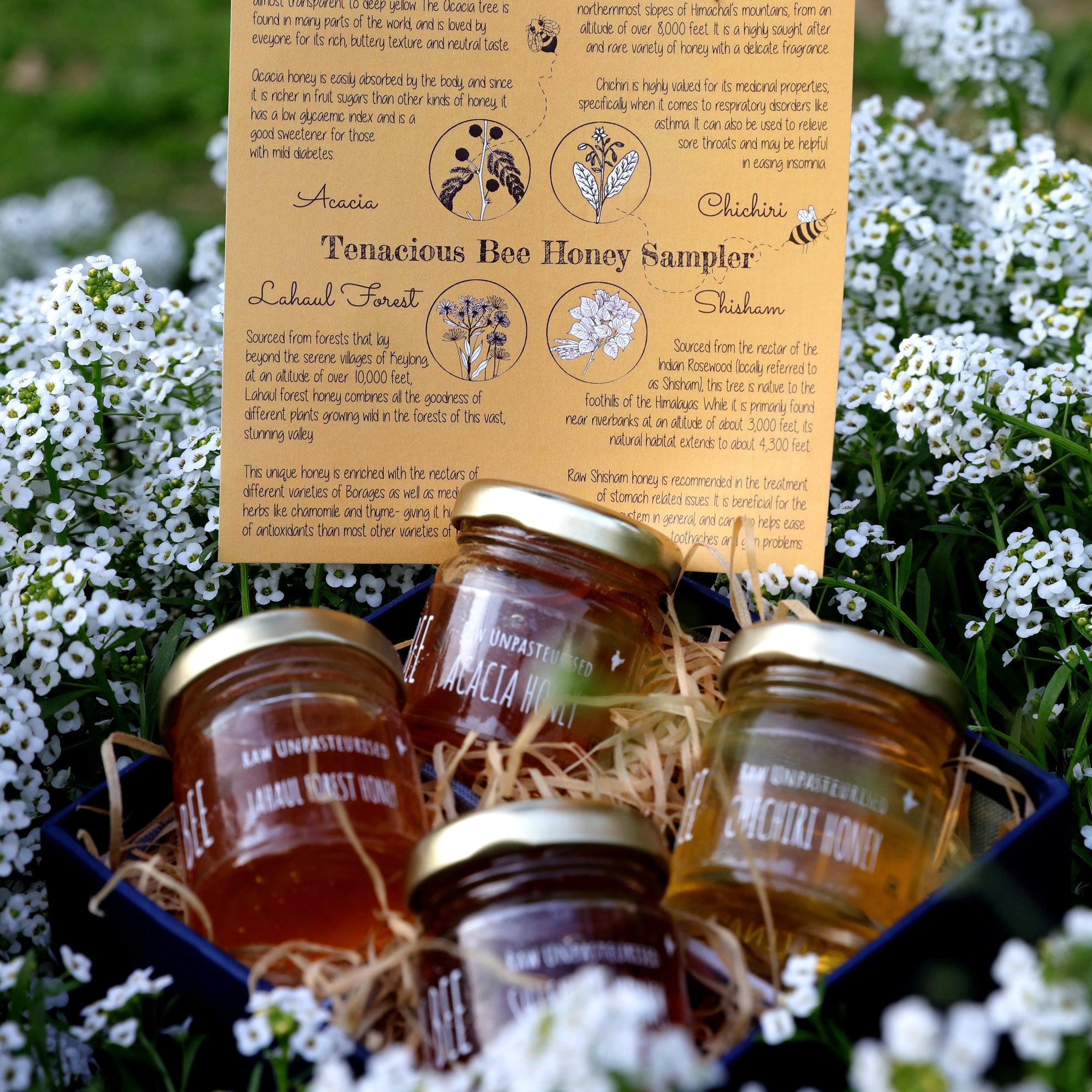 Bee Honey Sampler