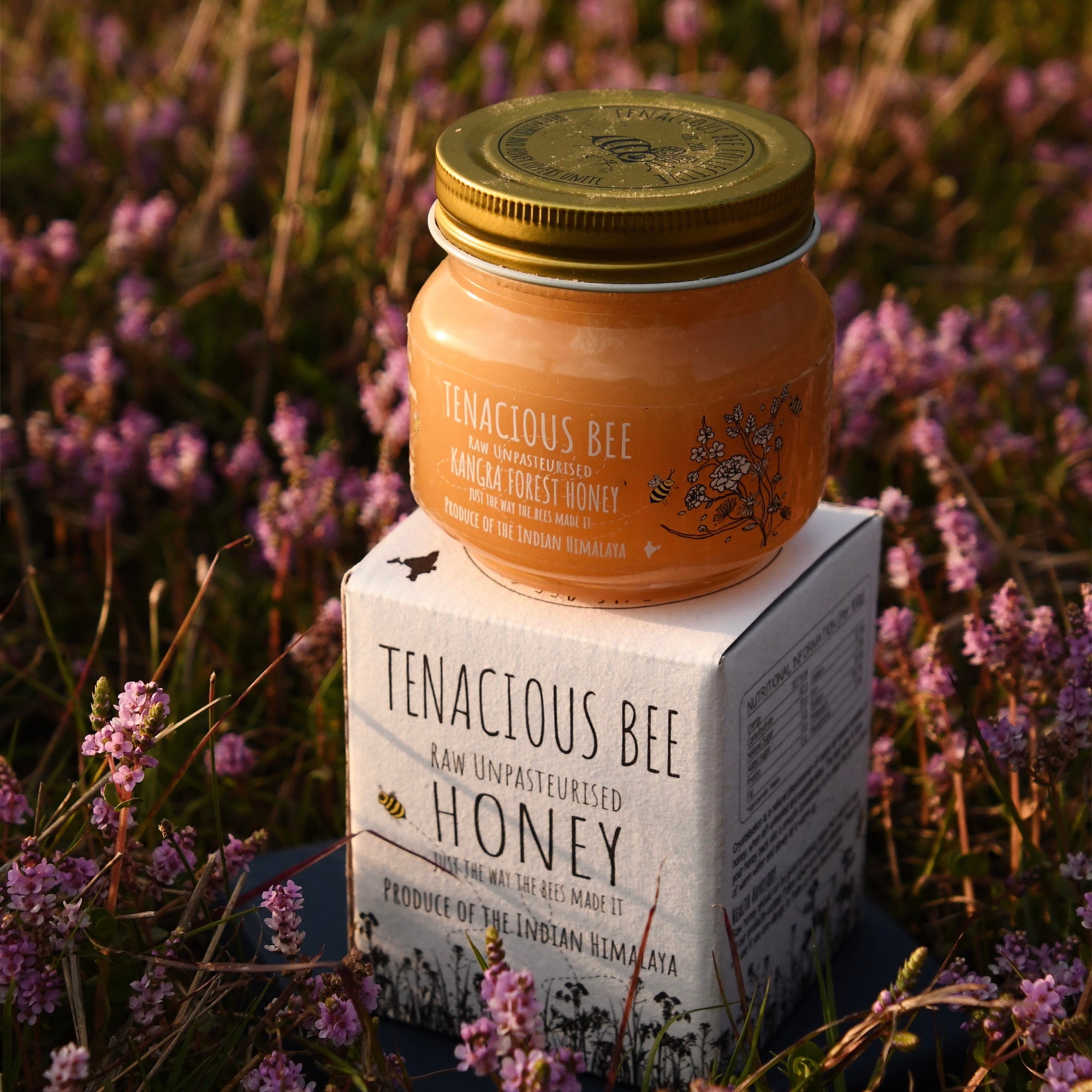 Kangra Forest Honey 275 gm