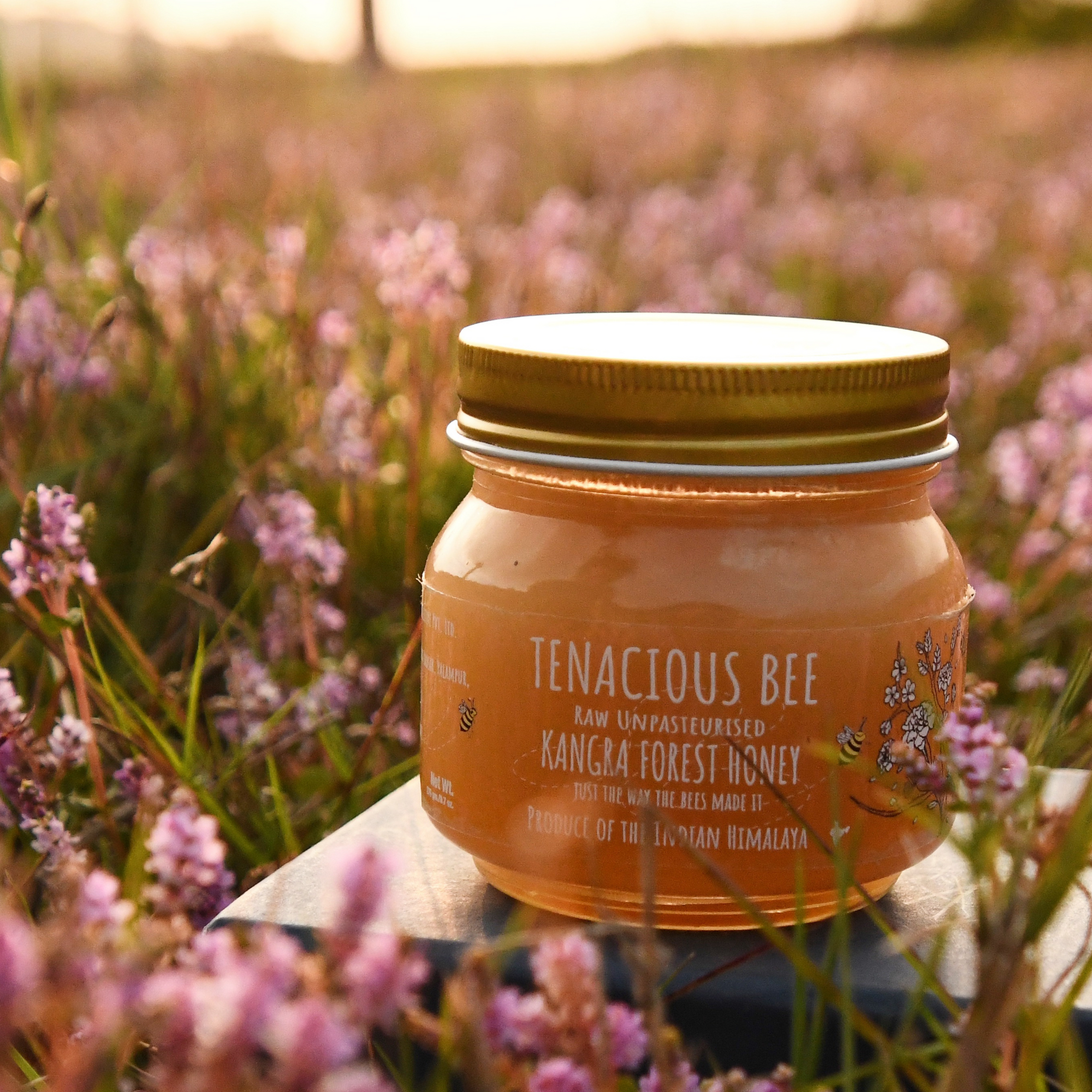 Kangra Forest Honey 275 gm