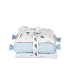 Boy Organic Cotton Mini Cot Bedding Set, 0-2 years Sea Breeze-Blue