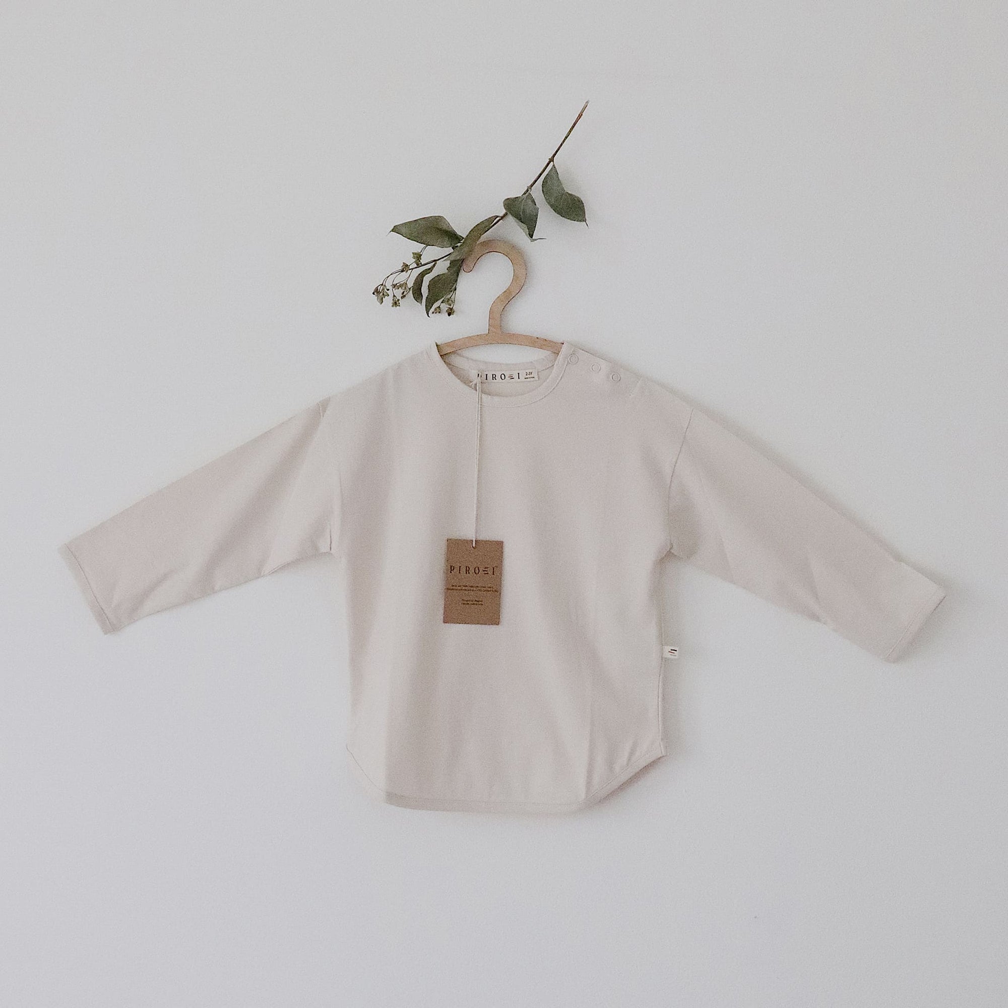 Beige baby shirt on a hanger with a plant branch against a light background