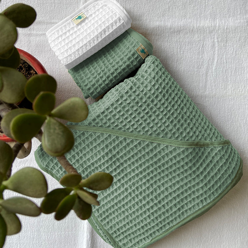 Green textured dog sweater on a white surface with a plant in the corner